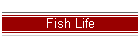 Fish Life